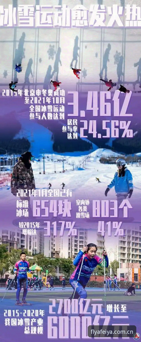 飞亚体育数据查询安装失败？实用排查技巧与必备知识